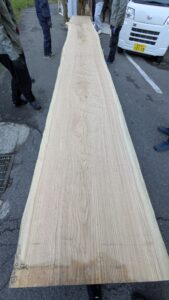 9m級 超超長尺のタモが来ました 高周波加工にかけていきます