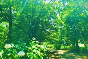 7月の休暇について