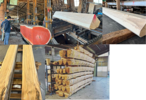 【新商品　銘木突板】SDGsの観点から開発した天然木のデザイン突板シリーズ、「ハリウッド」（貼りWood）を板蔵ファクトリー㈱から発売