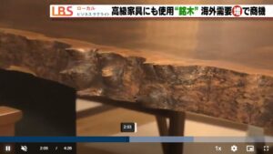7/24 LBS「木目の美しさで1枚100万円も 岐阜の銘木市場に外国人バイヤー集う」