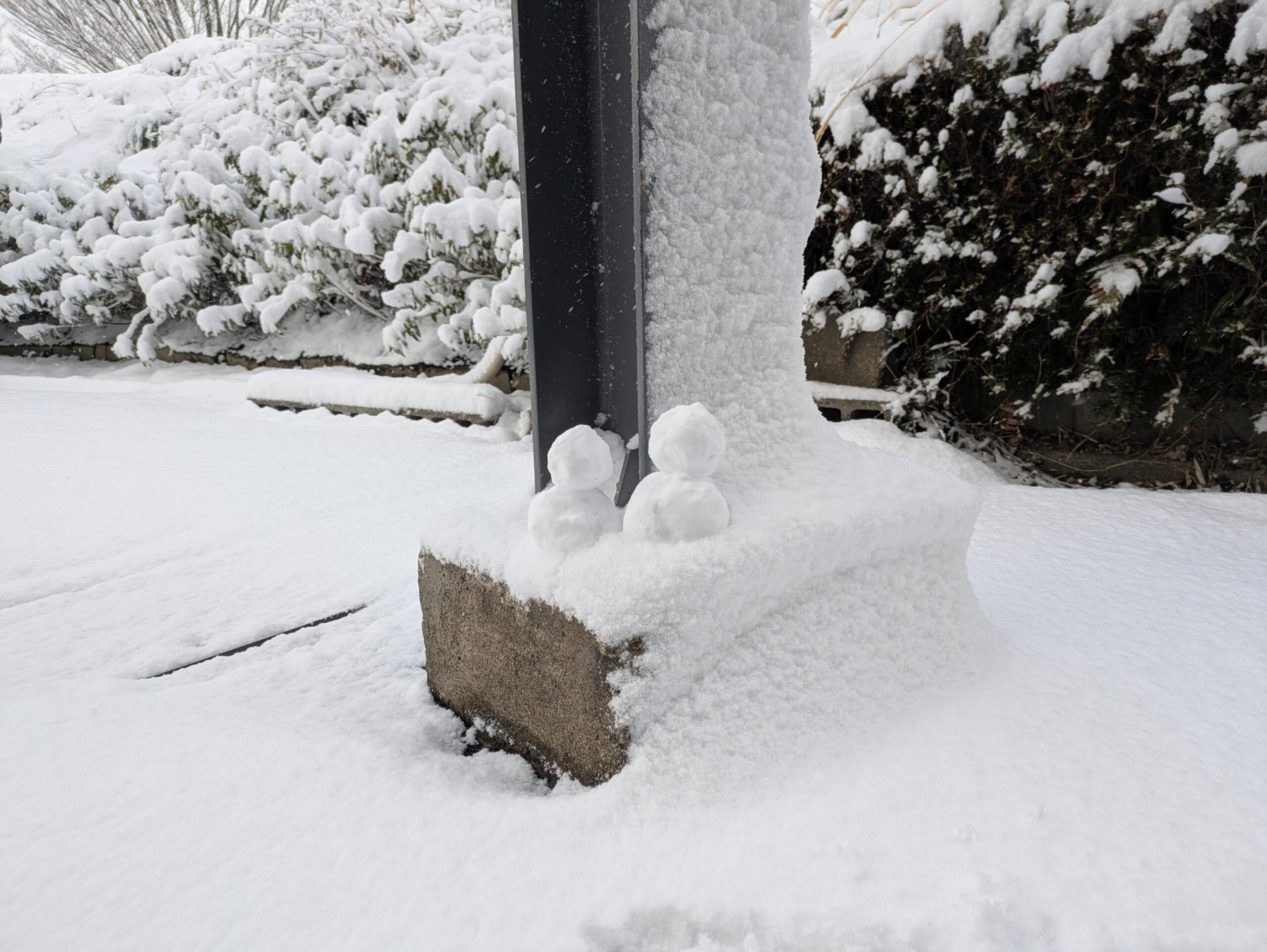 小さな雪だるまが2つあります