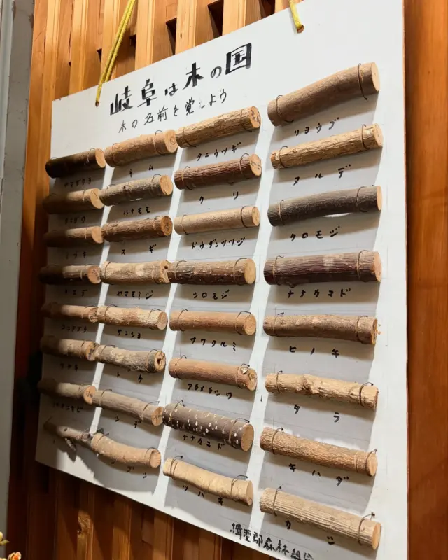 #揖斐森林組合 さまのオフィスにて。山の男たちが集めてきたという32種類もの枝。丸太ならまだしも枝で判別するのは激ムズ。150以上の樹種を在庫してるわりに、ひとつもわからない🤦まさに、「岐阜は木の国」だ！#銘木 #一枚板 #板蔵 #オーダー加工 #家具工場 #板蔵ファクトリー #材木屋 #ヤマガタヤ産業 #岐阜県産材 #liveedge #itakura #gifu #japanesewoodworking